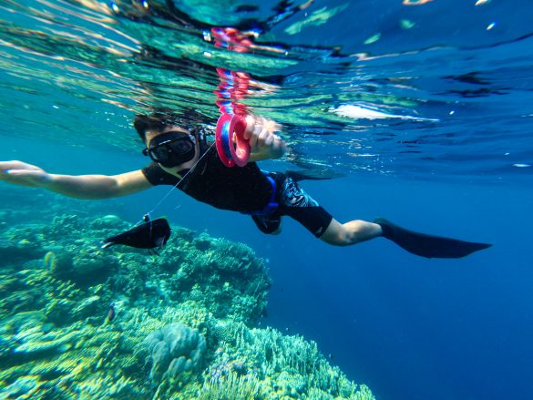 沙烏地阿拉伯釣最傻的魚