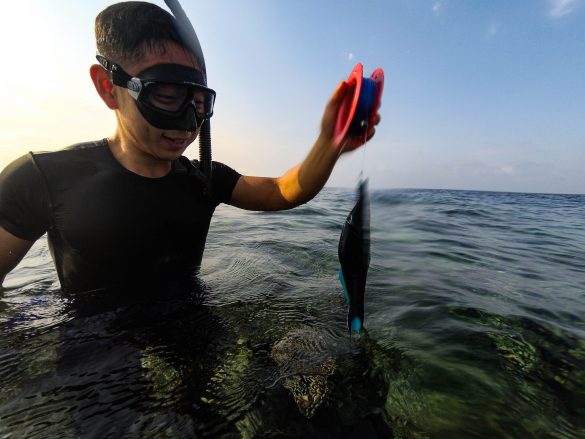 沙烏地阿拉伯釣最傻的魚