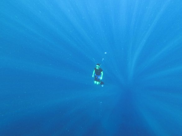 沙烏地阿拉伯釣最傻的魚